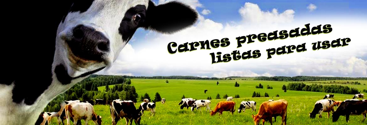 Carnes preasados